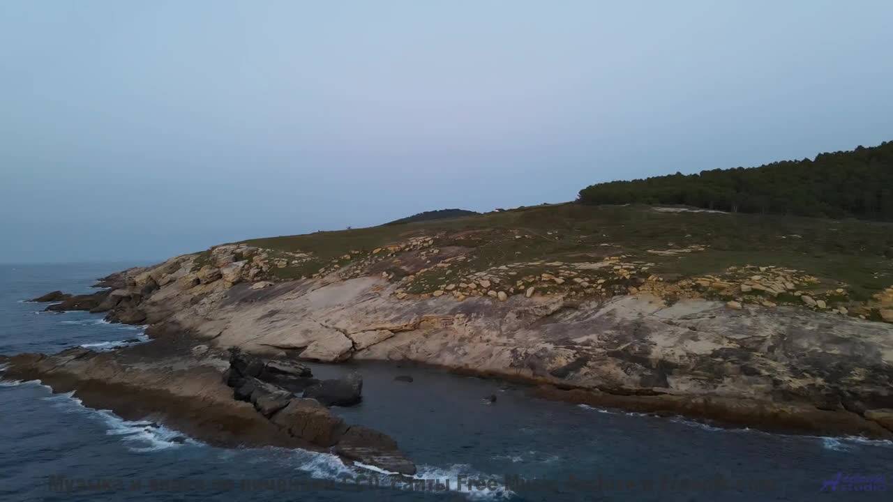 Музыка и природа сливаются в чистую магию - Archy is my metal Archaeopteryx -- 10 Echo -- Unnamed al