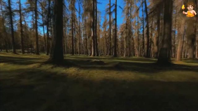 🎬 Наскальные рисунки: Тайны пещерного искусства. Эпизод третий.