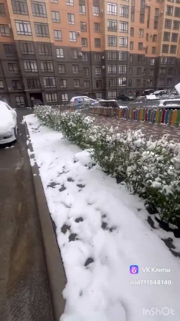 День весна день зима #погода