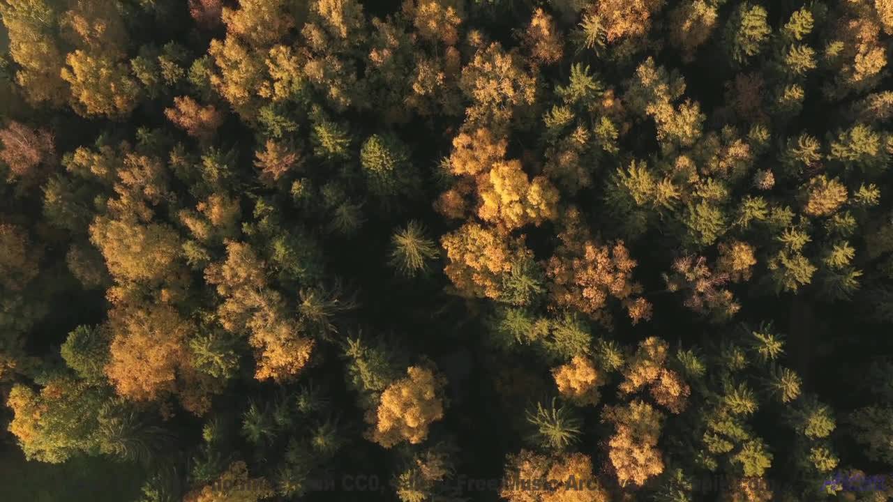 Идеальный саундтрек для вашего самого романтичного вечера! - Chasms of Emptiness -- Julia Felix -- U