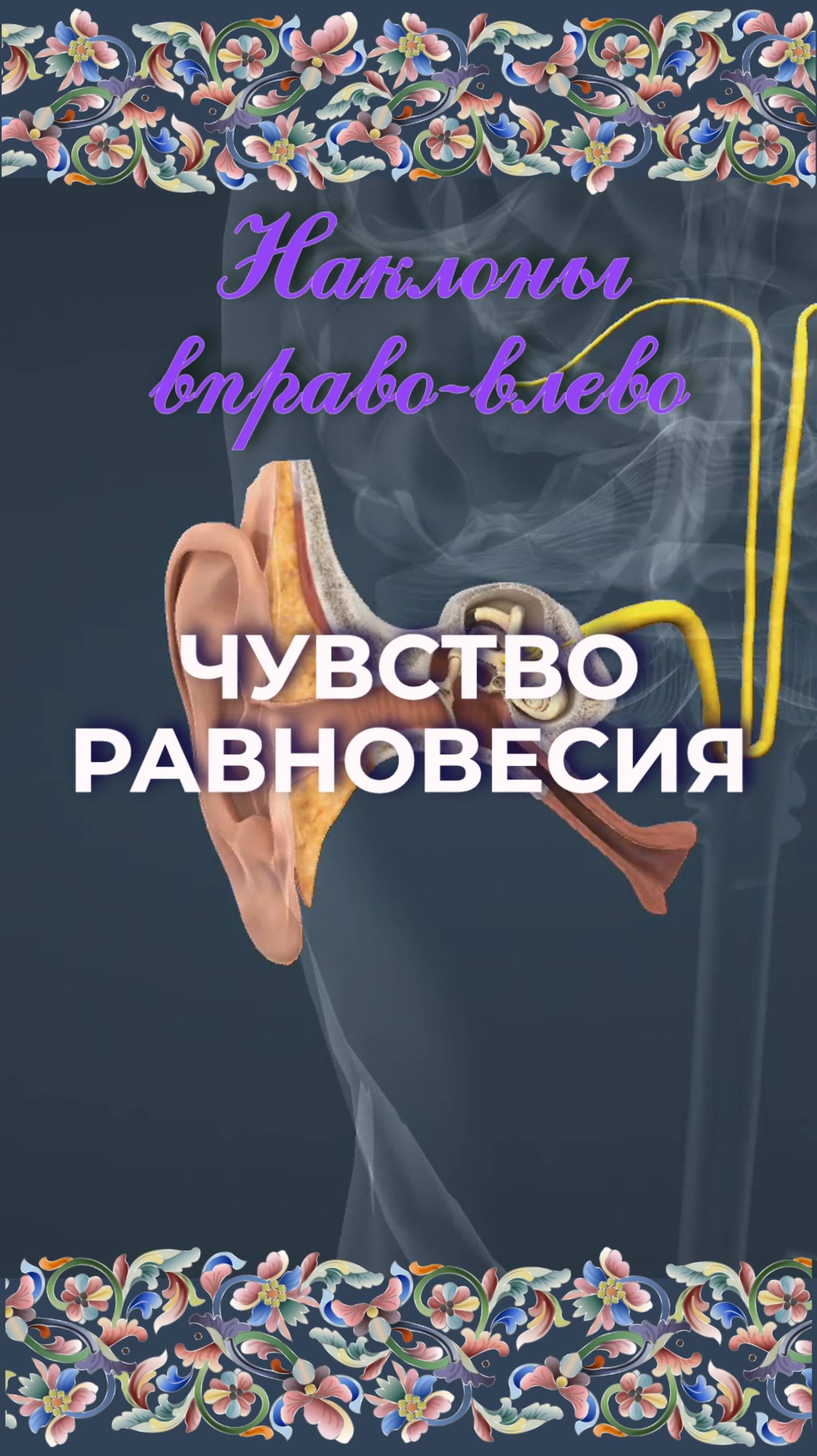 Чувство равновесия
Вестибулярная система - Функционирование полукружных каналов. Наклоны головы