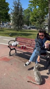 Ксю Бородина: В Турции кошки повсюду, их никто не обижает)