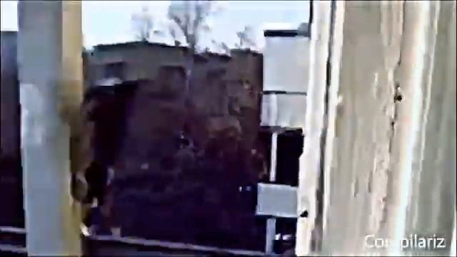 Копия видео Смешное видео про кошек 2   Супер приколы 2013 выпуск 13
