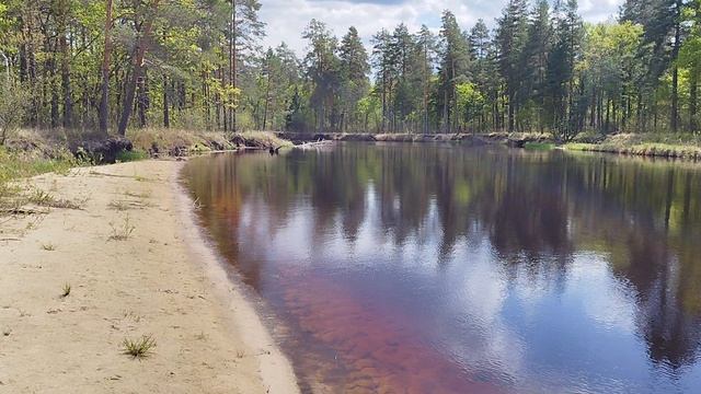 Классный пляж на затоне реки Пра. Секретный пляж в лесу
