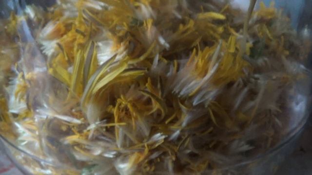 Цветки одуванчика   ПОДПИШИСЬ
