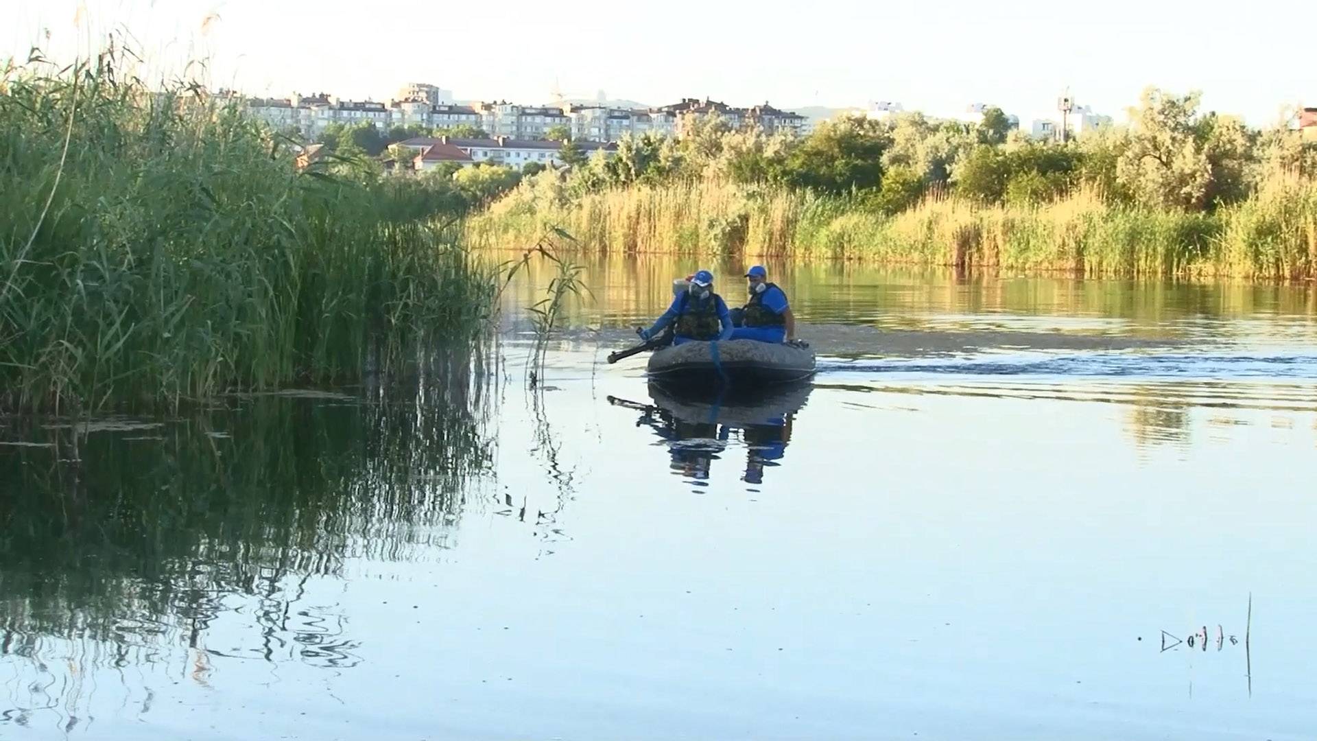 На курорте начали уничтожать комаров