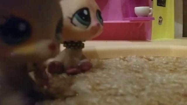 LPS:шерстяные носки.