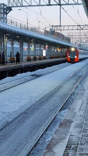 Ласточка прибывает на станцию Соколиная гора #рекомендации