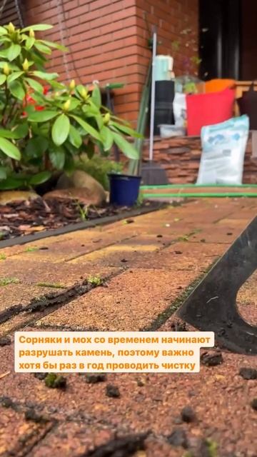 Как очистить швы плитки от грязи и мха!
