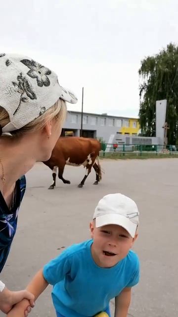 по улице ходила... большие... Коровы#Рождествено#корова#учим алфавит на букву "К"#shorts