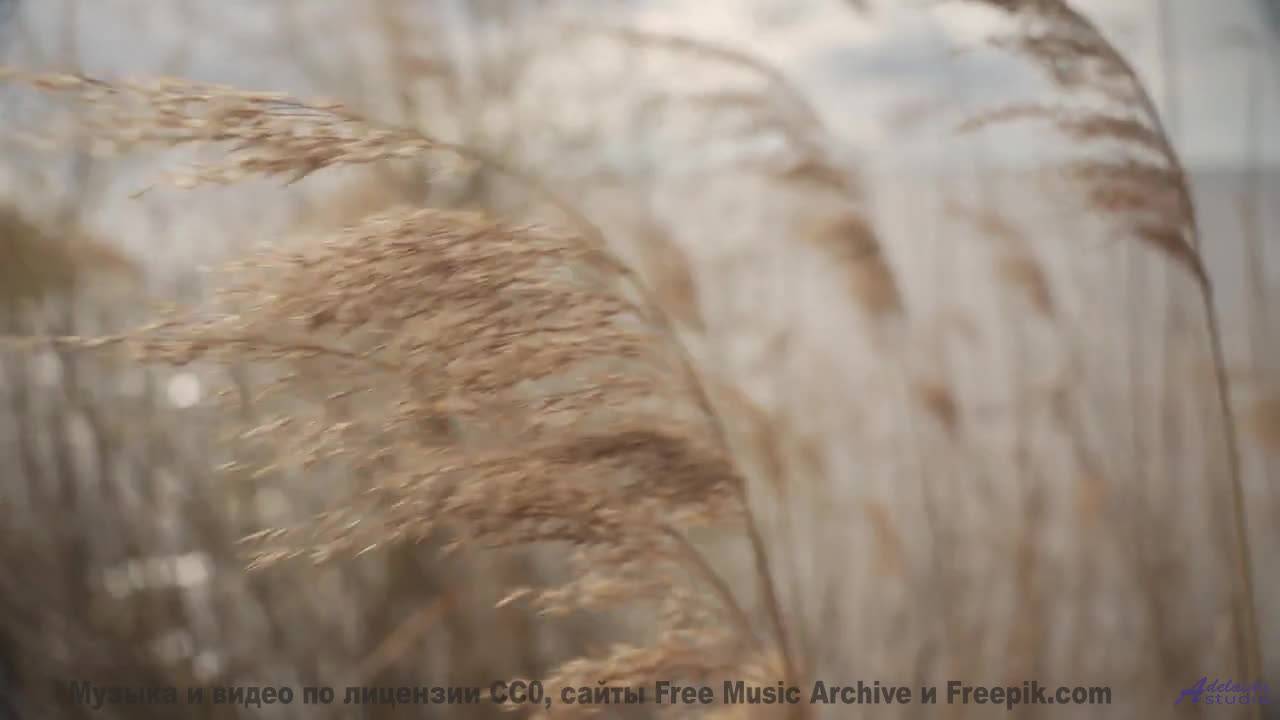 Ты точно ОДИН слушаешь это - No Boundaries (motorik groove) -- Keshco -- Filmmakers Reference Kit Vo
