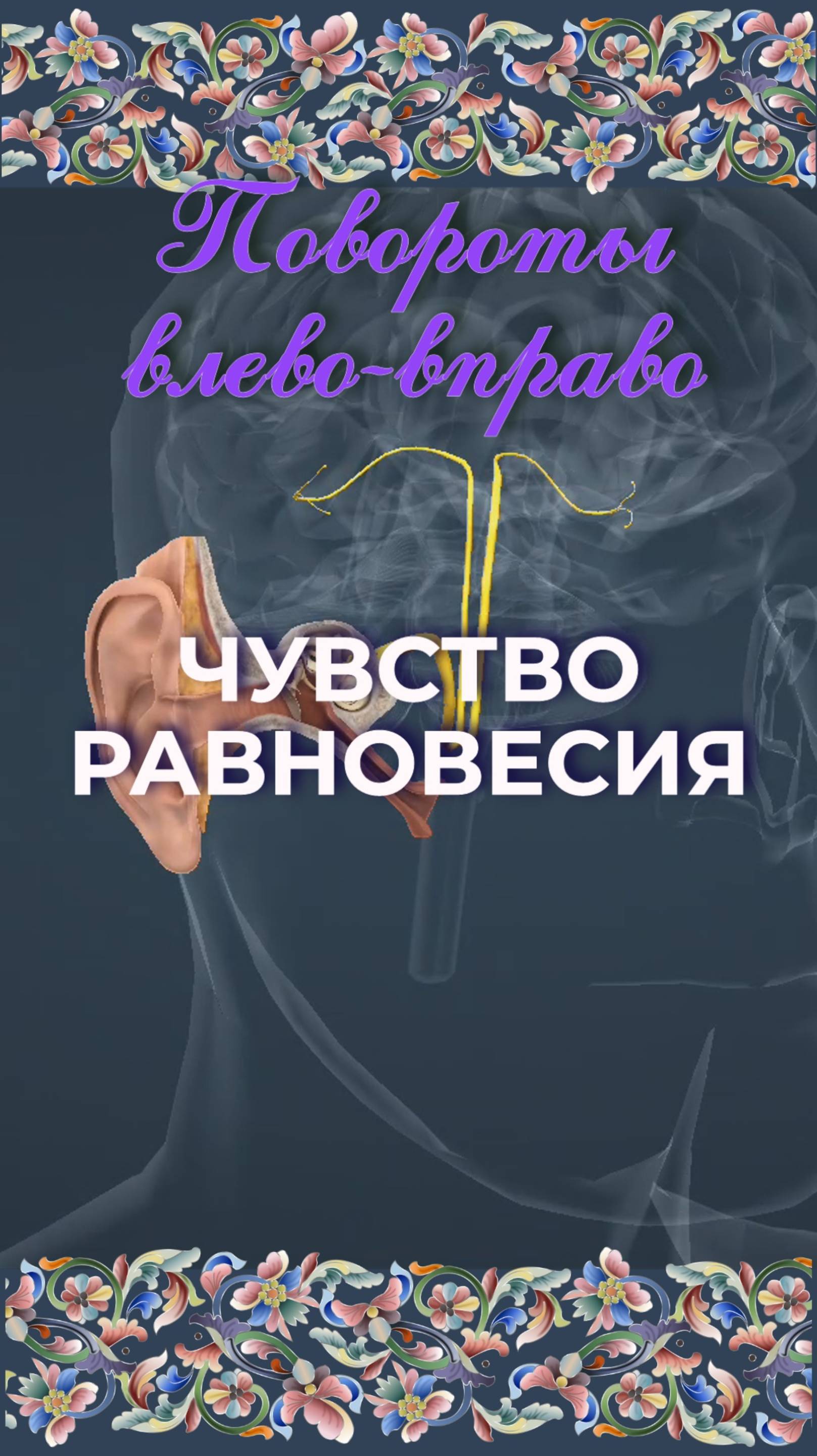 Чувство равновесия
Вестибулярная система - Функционирование полукружных каналов. Повороты головы