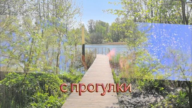 хорошее утро