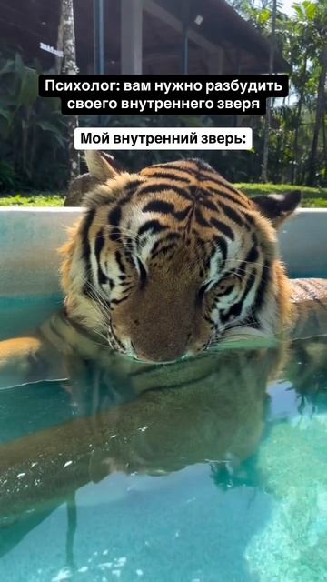 Мой внутренний зверь