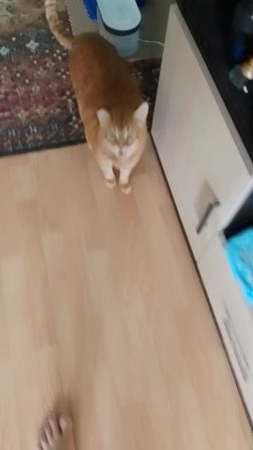 1000059891.mp4