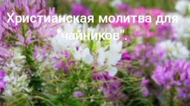 Эразм Приближанский. Христианская молитва для "чайников".