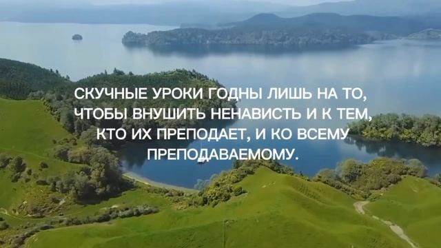 Великие цитаты Про Учёбу