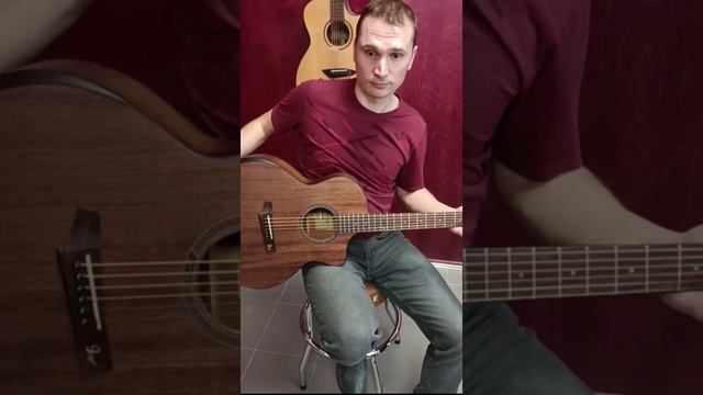 Акустическая гитара Gopher wood i265MC