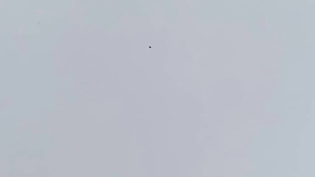 1000004214.mp4
