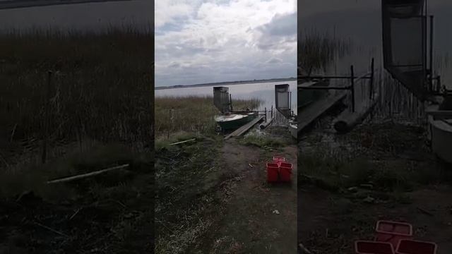 1000021887.mp4