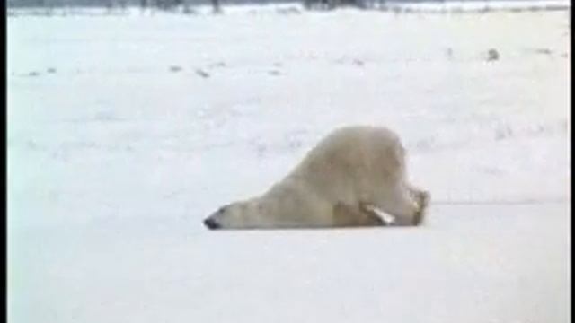 понедельник   день тяжелый