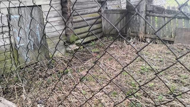 очень нужен ваш совет