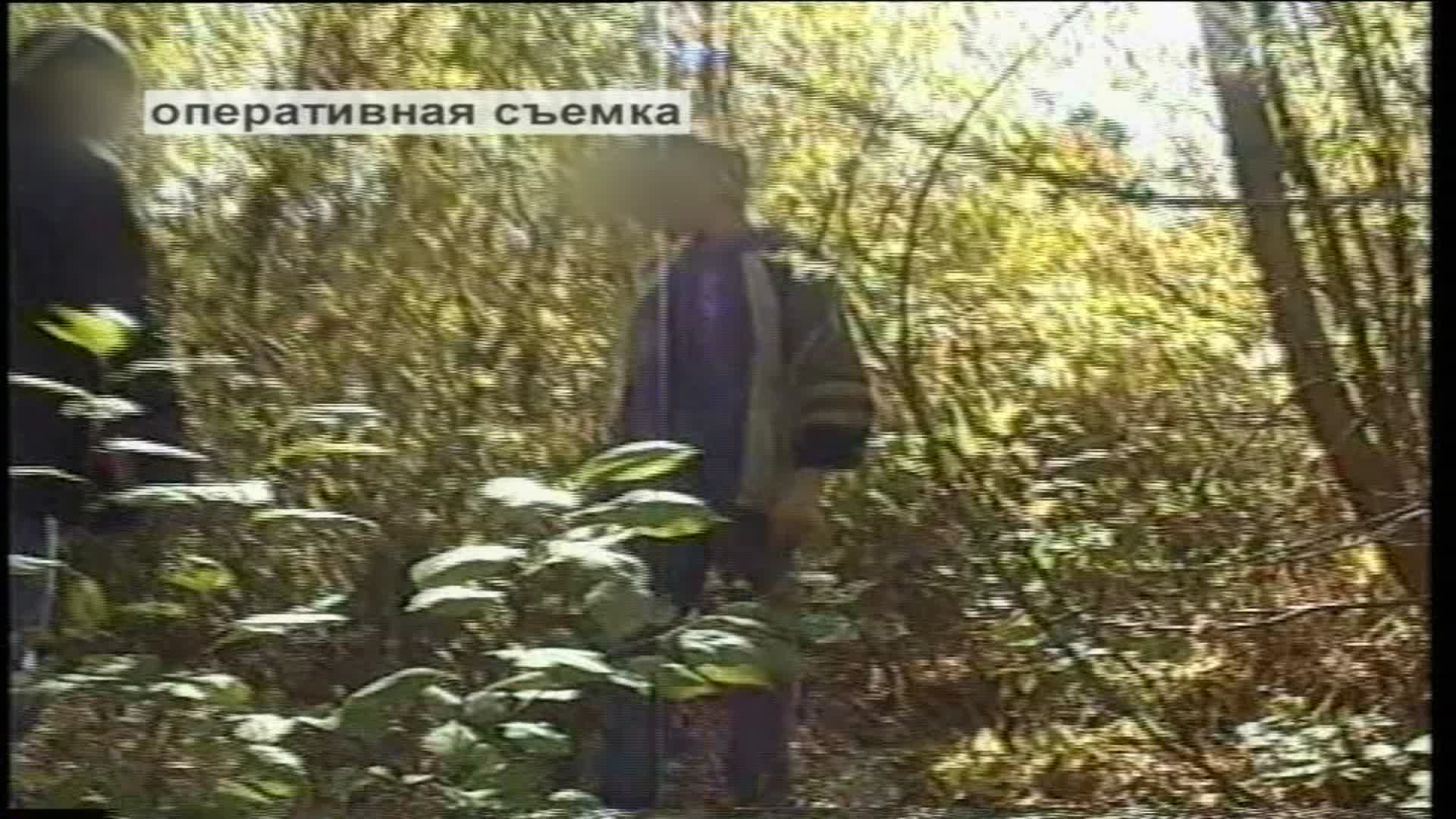 Экстрасенсы ведут расследование, 1 сезон, 34 серия