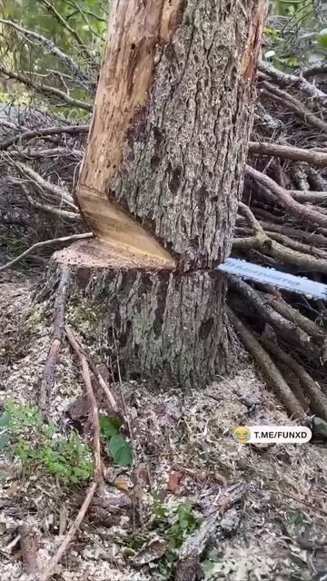 Неожиданно😆