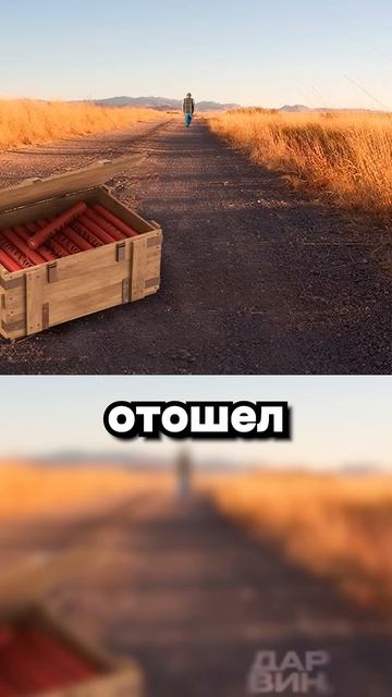 Бомбическая находка на ранчо
