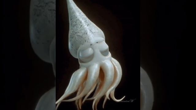 Какие существа из мира Марио доставляли вам больше всего проблем? 🐢✨