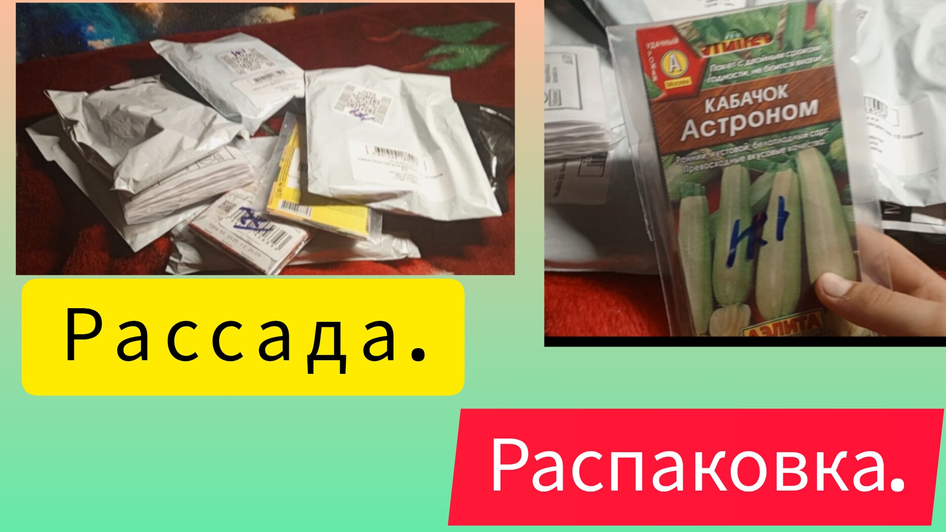 Распаковка семян с вб на огород.