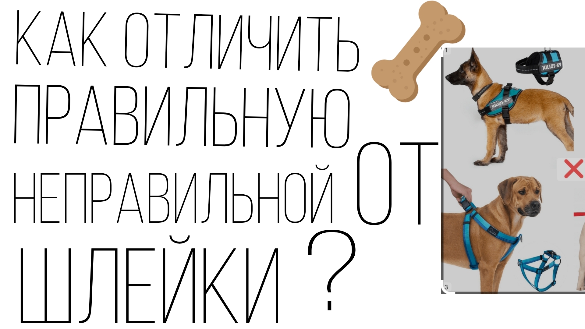 ☆ Как разлечить правельную шлейку от неправильной ? ☆