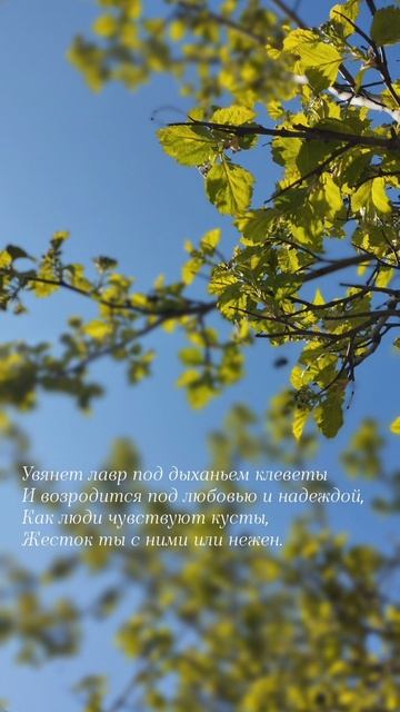 14.05.25 АЗ #ниднябезрифмы