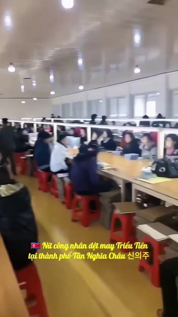 🇰🇵 DPRK Workers in Sinuiju city♥️