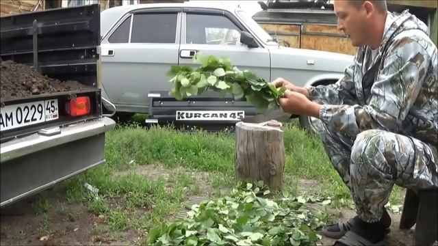 Как сделать веник для бани правильно.