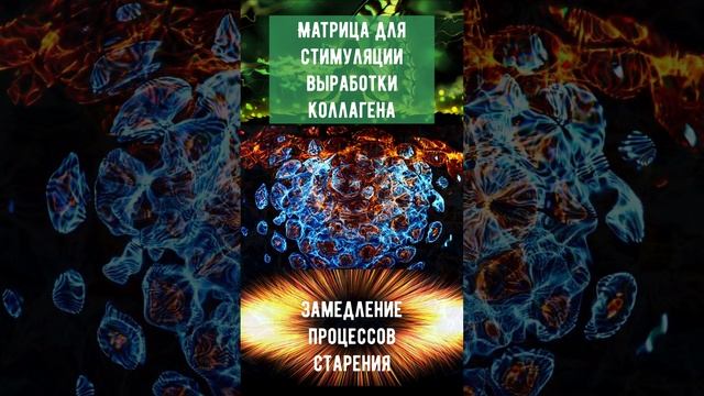 Матрицы Гаряева – это особые звуковые или световые частотные волны