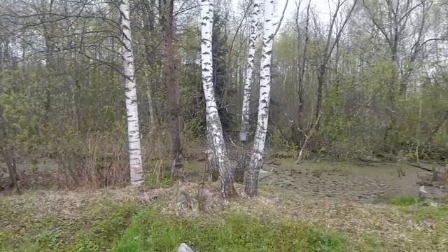 Дача в СНТ Союз, Одинцово