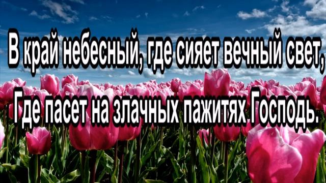 Тучки белые.mp4