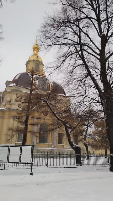 Петропавловский собор, Петербург. 12 декабря 2023. Видео №2.