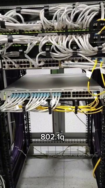 Коммутатор доступа MES2348P Eltex. Видео[Охота] на eltexcm.ru