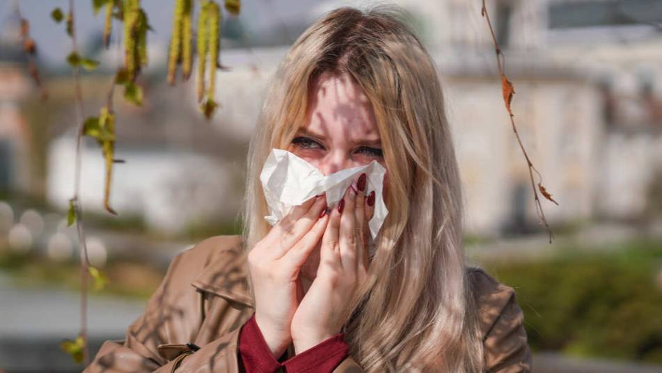 В России возникла эпидемия аллергии на пыльцу деревьев