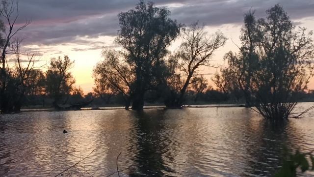 красивый кадр,красивый закат и отличная работа Чубарой подсадной😃💪👍