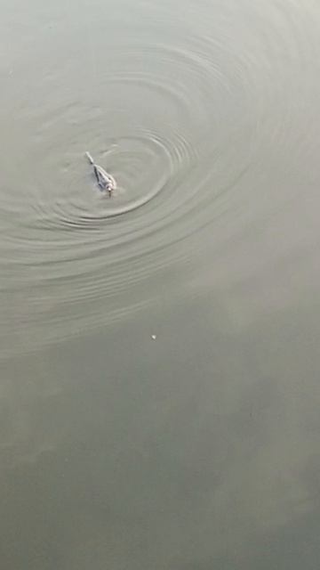 1000012552.mp4