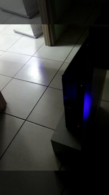 VID_20250514_173145.mp4