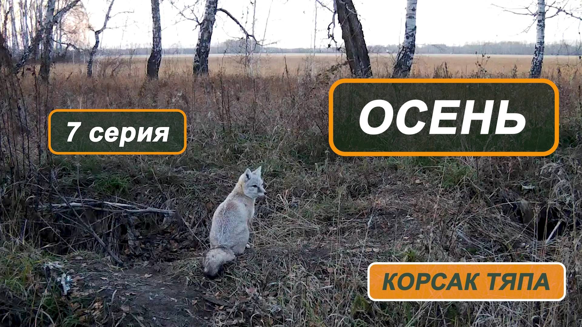 Фильм "Корсак Тяпа". 7 серия. Осень