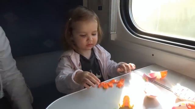 Мисс Кэйти и Мистер Макс (Miss Katy)ВИДЕОБЛОГ Мы едем в Киев на поезде, рум-тур