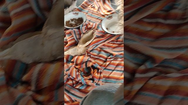 Бузотеры! Раскопаем вашу машину! Так и знайте! А то иш чего удумали!