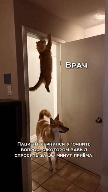 Шутка) мы отвечаем на любые вопросы пациентов, в том числе и онлайн после приема ❤️