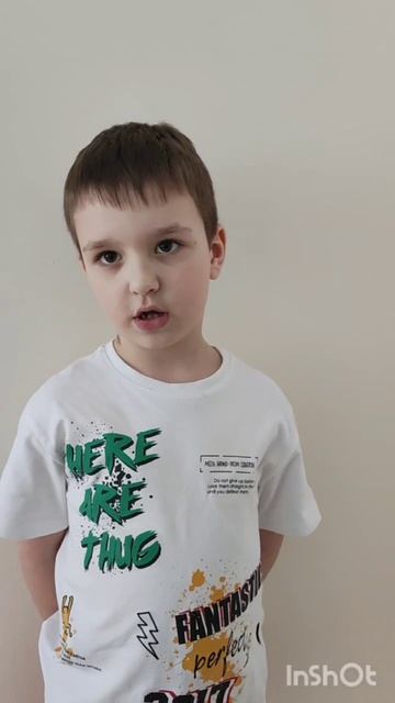 кедр
