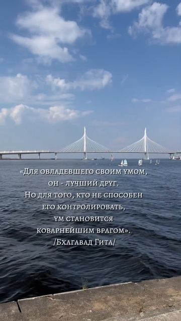 Ум